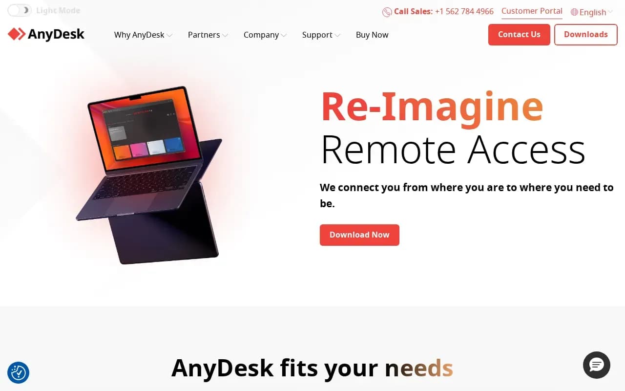 The AnyDesk website