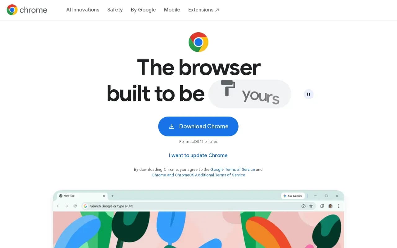 The Google Chrome website