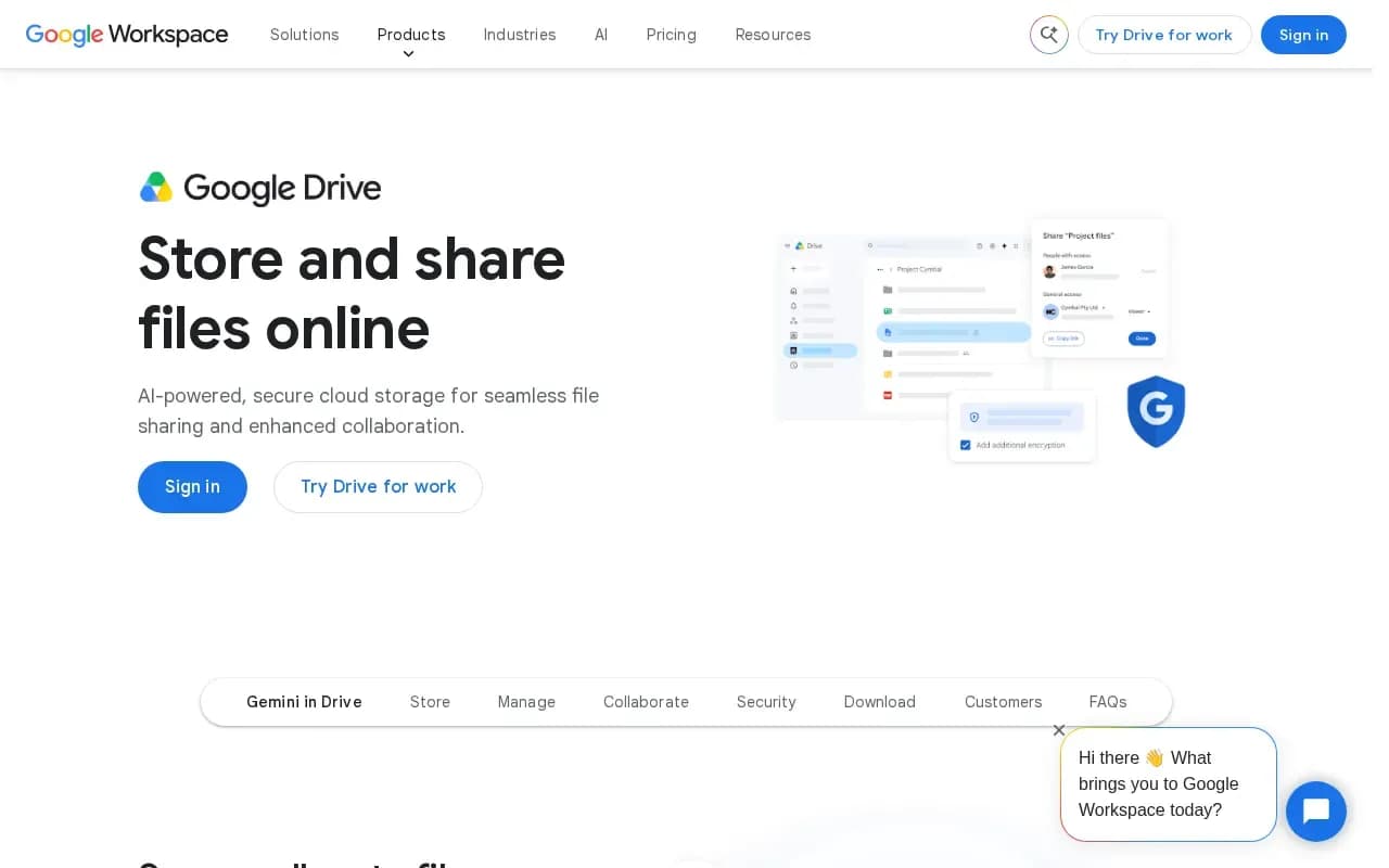 The Google Drive website
