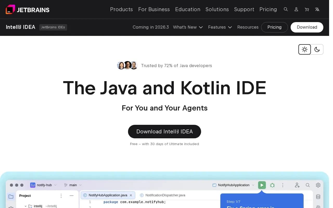 The IntelliJ IDEA website