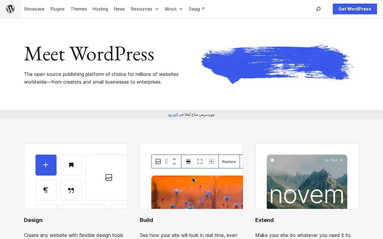 The WordPress website